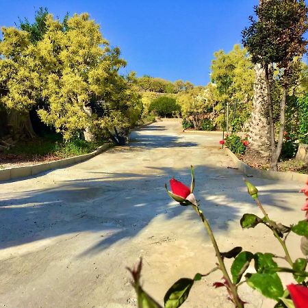 Los Ninos Villa/Country House Frigiliana Buitenkant foto